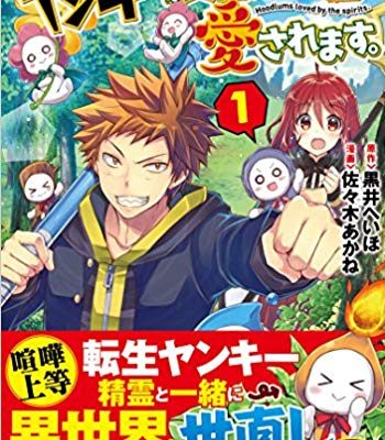 ヤンキーは異世界で精霊に愛されます。｜全5巻完結！アルファポリス漫画で無料連載中