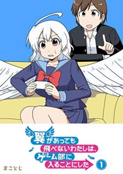 翼があっても飛べないわたしは、ゲーム部に入ることにした