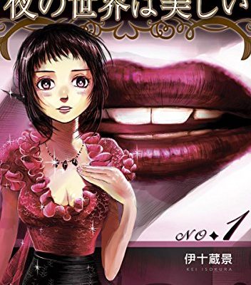 夜の世界は美しい ネタバレ無しで感想書いています 妖しげな世界に転移してしまった少女のマンガ 夜の世界は美しい ネタバレ無しで感想書いています 妖しげな世界に転移してしまった少女のマンガ