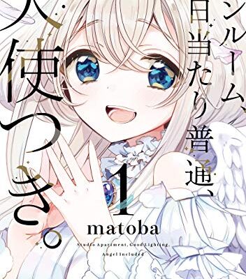 ワンルーム、日当たり普通、天使つき。