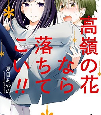 高嶺の花なら落ちてこい！！