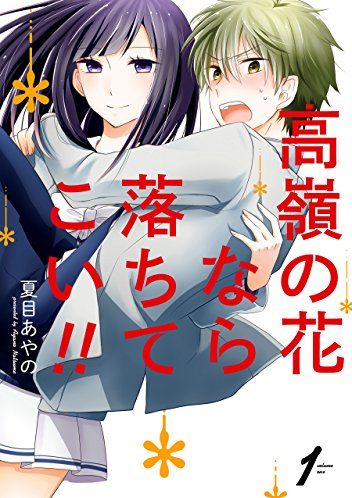 高嶺の花なら落ちてこい！！｜全8巻完結！マンガUP!で最終巻まで全巻無料配信中！