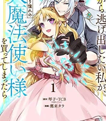家から逃げ出したい私が、うっかり憧れの大魔法使い様を買ってしまったら