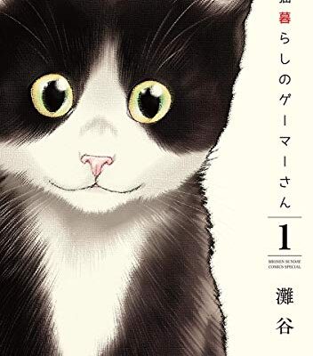 猫暮らしのゲーマーさん