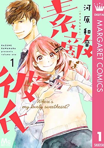 素敵な彼氏｜全14巻完結！マンガMeeで最終巻まで全巻無料配信中！