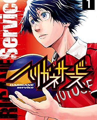 ハリガネサービス
