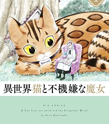異世界猫と不機嫌な魔女