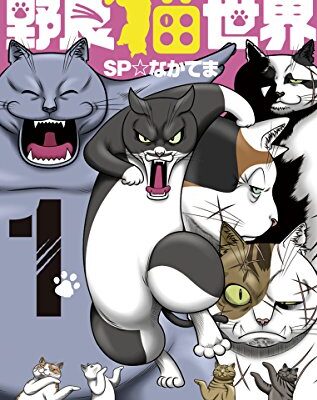 野良猫世界